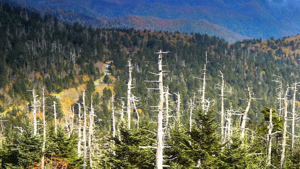 Smoky Mountain Explorer - An Island in the Sky Trailer