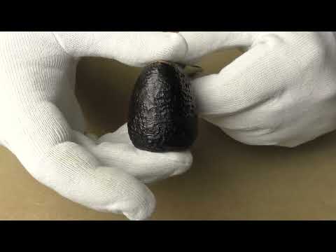 Becker 3 Clubs - pipe 036