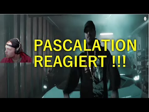 ALPA GUN INTRIGEN REACTION