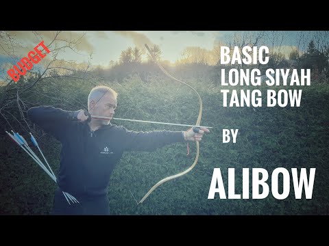 Basic Long Siyah Tang Bow by Alibow - Review