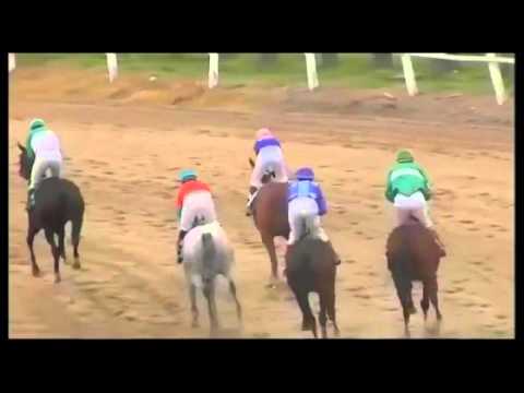 3° Carrera – 1° Gran Salvada (SINT-COLONIA)