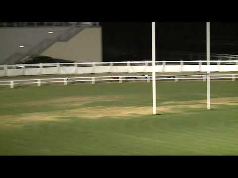 2021.07.02. 07. futam - Kincsem Park Magyar Derby Döntő