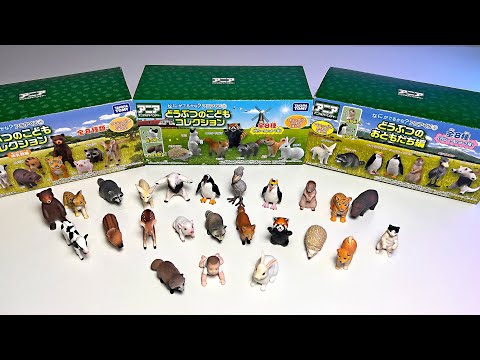 Baby Animals - Calf, Puppy, Bear, Fawn, Penguin Chick, Rabbit, Kitten, Red Panda, Hedgehog