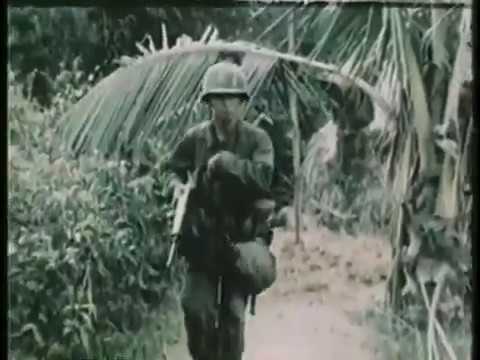 Born to Be Wild - Steppenwolf (Vietnam War footage: 101st and a bit of the 82nd Airborne)