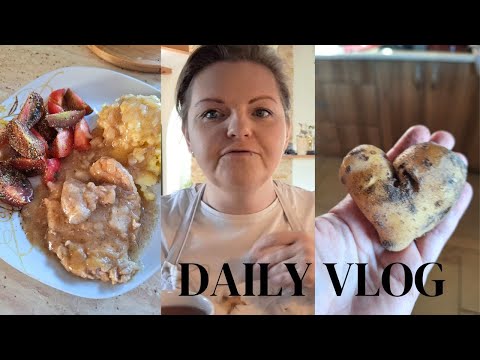 CODZIENNOŚĆ 🥰 MEAL PREP 🥗 OBY BYŁY OWOCNE 🙄 VLOG DOMOWY ❤ VLOGTOBER#3