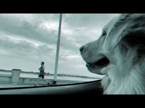 True Tiger ft P Money - Slang Like This