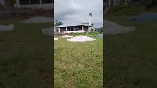 Download lagu Gondang Batak full halak hita mp3