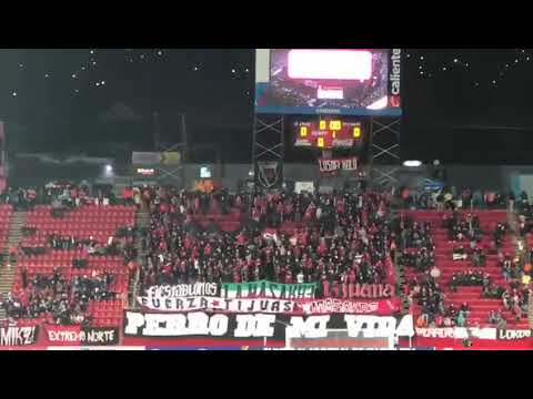 "PERRO DE MI VIDA / CONCACHAMPIONS LEAGUE 2018" Barra: La Masakr3 &bull; Club: Tijuana