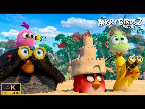 Funny Pig vs Bird Fight | Opening Scene The Angry Birds Movie 2 (2019)