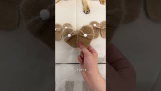 Homem Cria Pantufas para seus Gatinhos Fofos 😻❤️