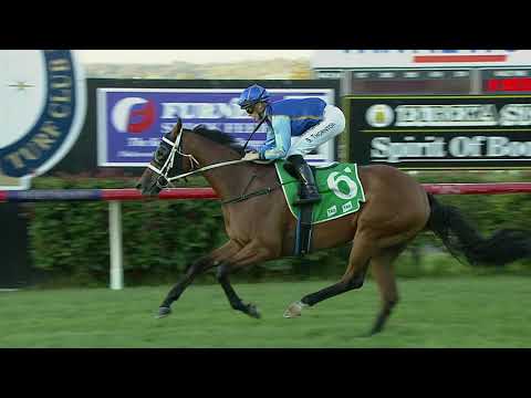 Hallside Fandango - Toowoomba Race 7