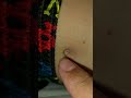 Belly Button Play While Asleep