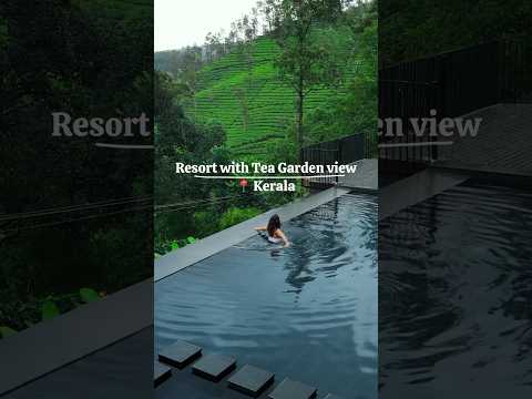 This resort is near the reserve rainforest in Wayanad. An absolute bliss staying here