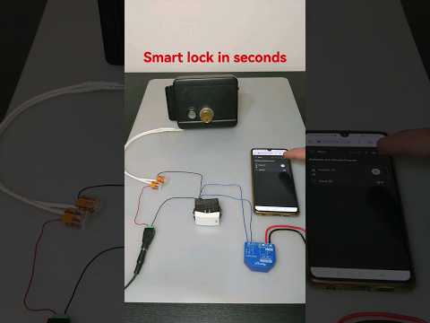 Upgrade to Smart Lock with Shelly Plus 1 #shelly #smartdoorlock
