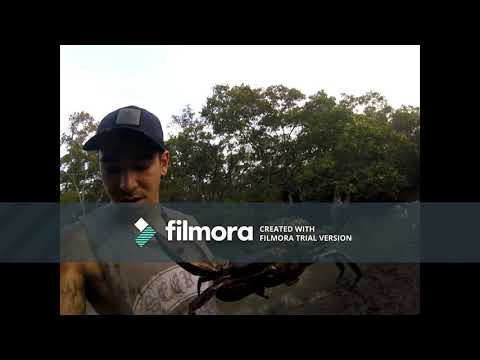 CATCH 'N' COOK MUDCRAB CAUGHT BAREHANDED