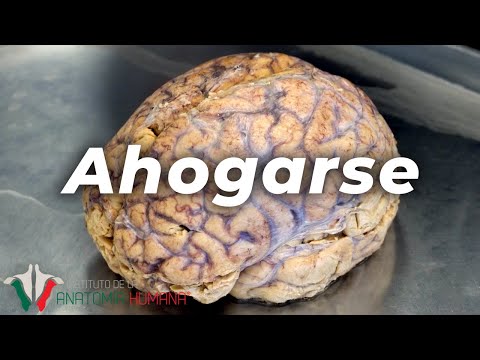 AHOGARSE : ¿Como es que se siente?