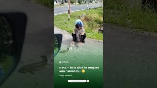 Download lagu macam tu je akak tu songket ikan haruan tu.. mp3