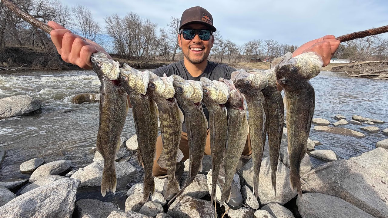 Public River Spillway Walleye Fishing! (CATCH CLEAN COOK)