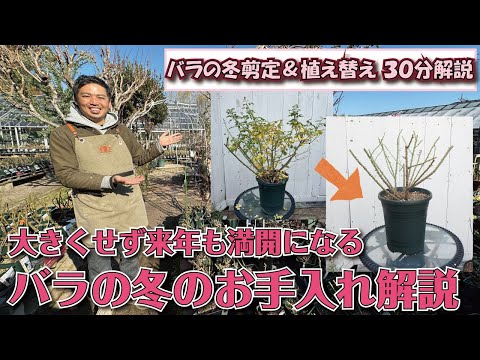 冬のベールを正しくかぶる方法のヒント