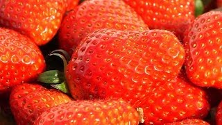 preview picture of video 'hi-tech Japanese strawberries'