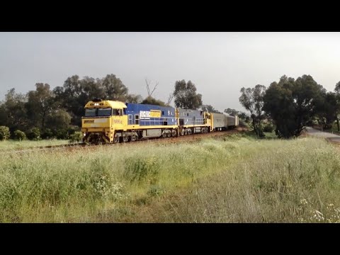 Australian Trains 35 - NR95 NR48 on Pacific National 1MP5 between Perth and Toodyay 30/09/2015