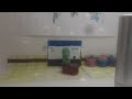 Schoolhouse Polka
