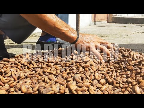 Miguel Ángel Hernández Ft. Betsayda Machado – Barlovento