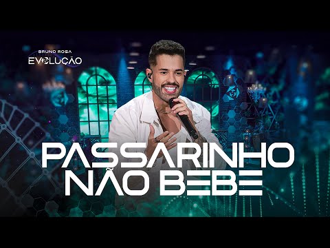 Bruno Rosa - Passarinho Não Bebe (DVD Evolução)