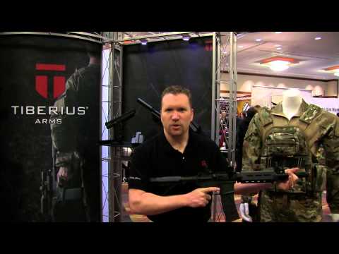 The New Tiberius Arms T15 From PBE 2013