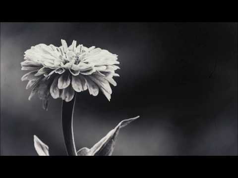 Alectricz - Cara [Drum & Bass]