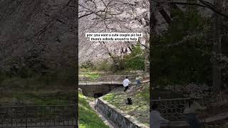 There was really nobody to help 🥲 #korea #cherryblossom #couple #couples