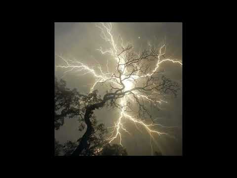 [FREE] $uicideBoy$ x xavier wulf x Bones Type Beat - "My dear"