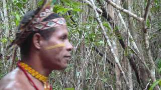 coração civil, milton nascimento