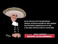 Escuché las golondrinas - Vicente Fernández  (Letra)