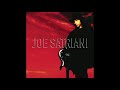 Joe Satriani - Slow Down Blues