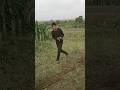 Tridev Title Song Tridev Action Scene Short Video Tridev Movie