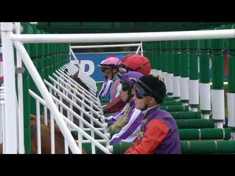 2023 UK DONCASTER St Leger Stakes