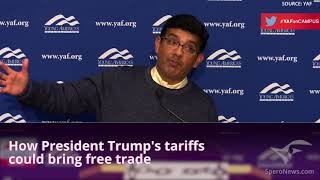 Dinesh D'Souza: Milton Friedman is 'politically dumb' on Trump's trade tactics