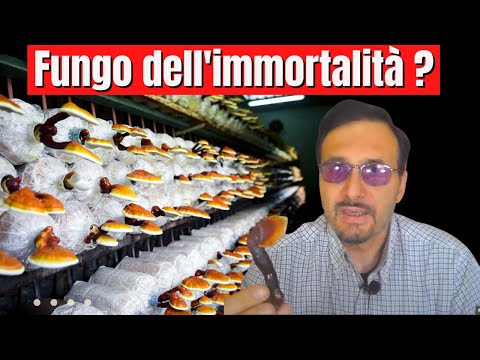 Quando il congelamento è un piccolo membro Recensioni di gocce per la potenza del martello di Thor