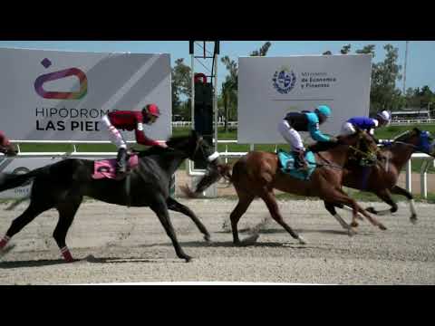 211015 c04 - MONCALIERI - HIPODROMO LAS PIEDRAS