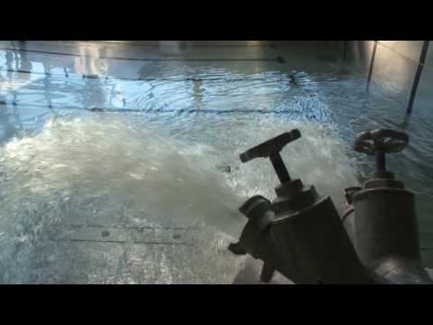 comment traiter l'eau verte d'un bassin