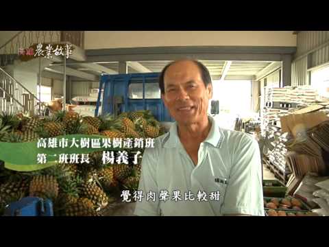 高雄農業故事館 - 鳳梨 國語