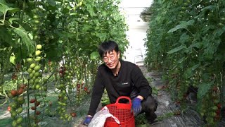 [나는 농부다] 양수씨의 다시 쓰는 귀농일기 1부