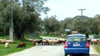 preview picture of video 'Lefkada fun video - Count the sheep!'