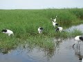 channel