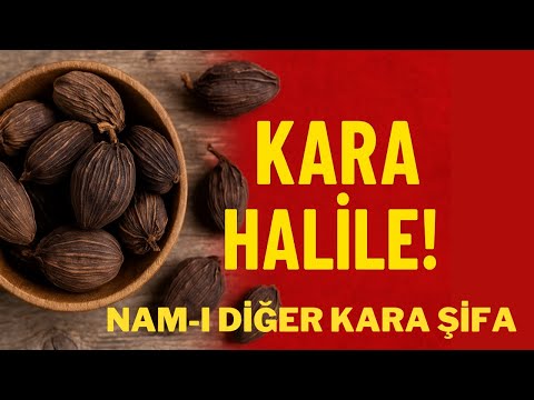 KARA HALİLE FAYDALARI NELERDİR | KARA HALİLE NEDİR VE NE İŞE YARAR | KARA HALİLE OTU NEREDE YETİŞİR