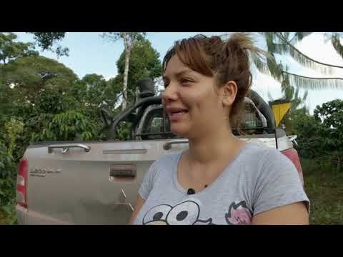 SRF REPORTER Tropical Mountains Coffee farm