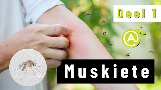 Muskiete (Deel1)