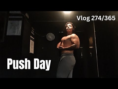 Fall Cut Day 22 -Push Day