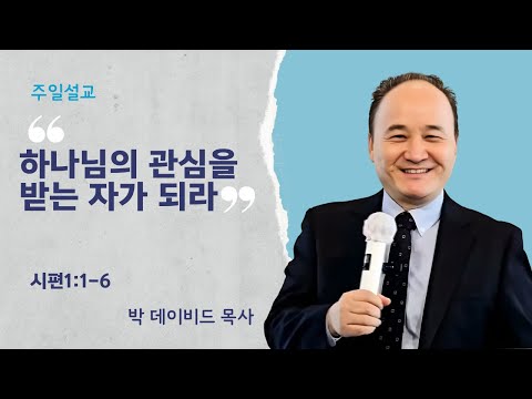 영상